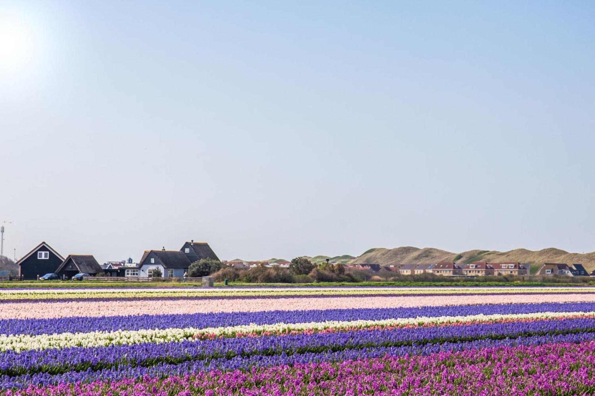 Beach Appartement 14 - Aan De Duinen, Callantsoog Aan Zee エクステリア 写真