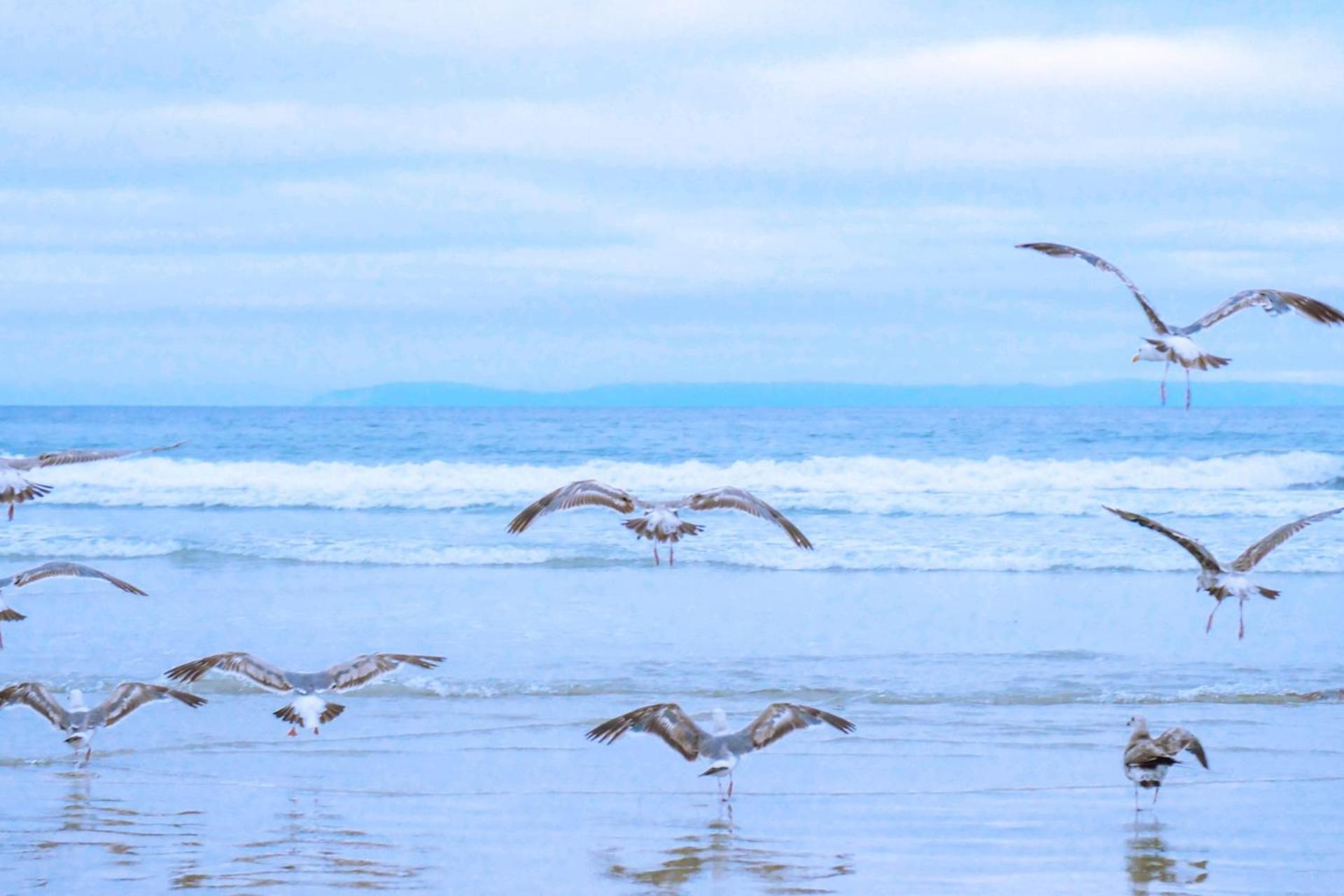 Beach Appartement 14 - Aan De Duinen, Callantsoog Aan Zee エクステリア 写真