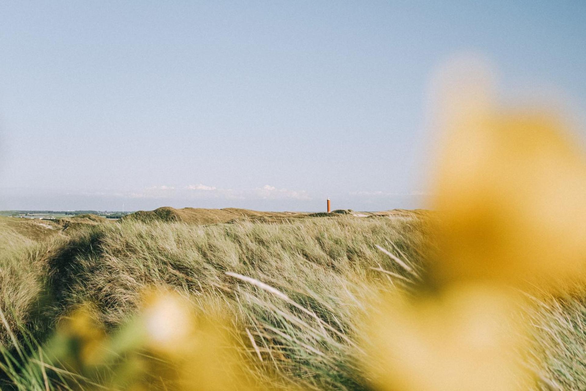 Beach Appartement 14 - Aan De Duinen, Callantsoog Aan Zee エクステリア 写真